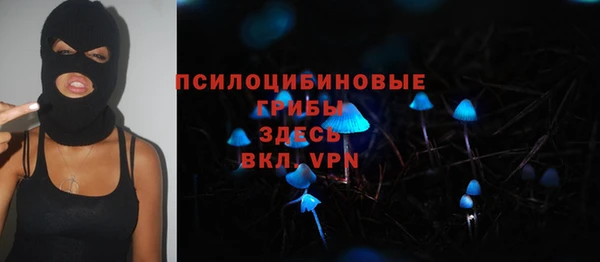 mdma Медвежьегорск
