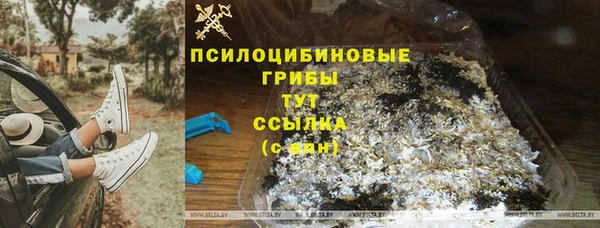 ешки Медногорск