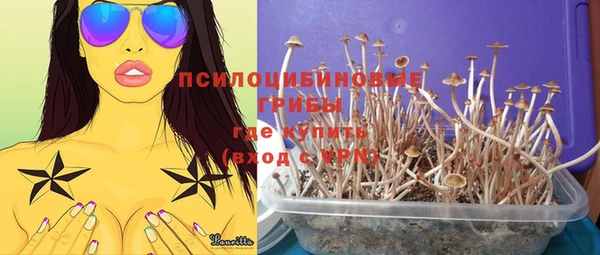ешки Медногорск