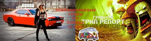 ешки Медногорск