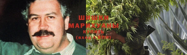 2c-b Мегион