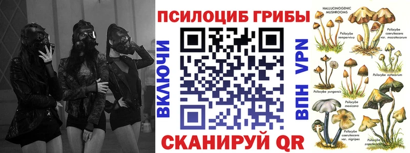 Галлюциногенные грибы Magic Shrooms  Власиха 