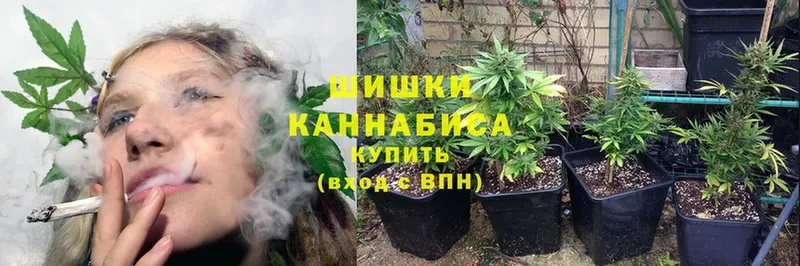 Бошки Шишки THC 21%  Власиха 